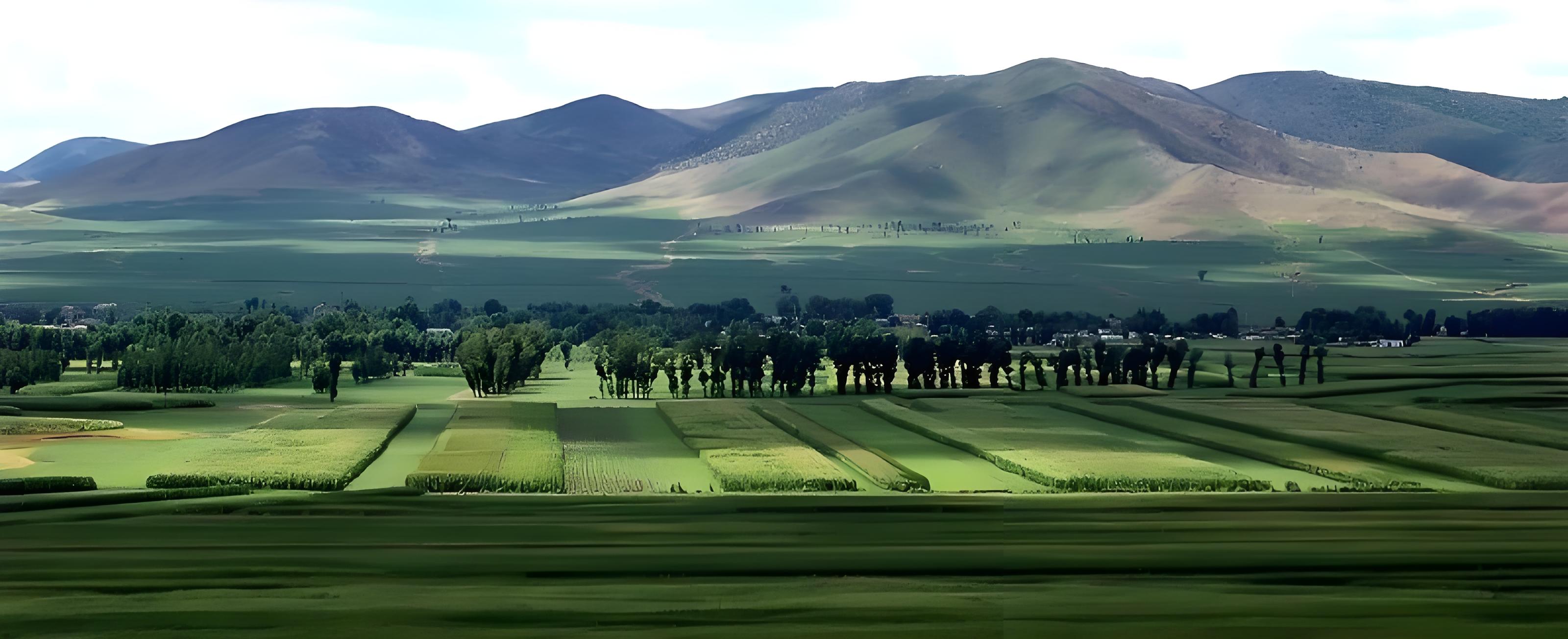 ff84d8ca-4b15-4b45-a250-a178c1c74443.jpeg